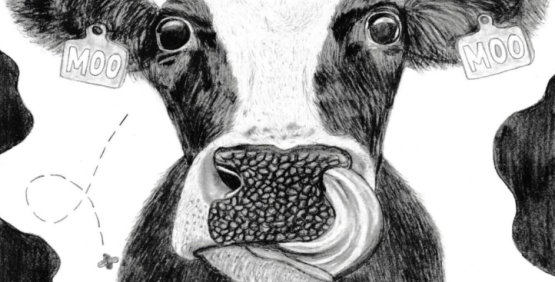 Just MOO it!