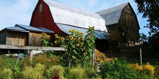 thousand island cruises from gananoque