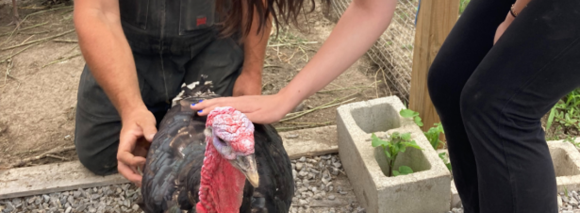 A Visit to Berry Homestead Farms 